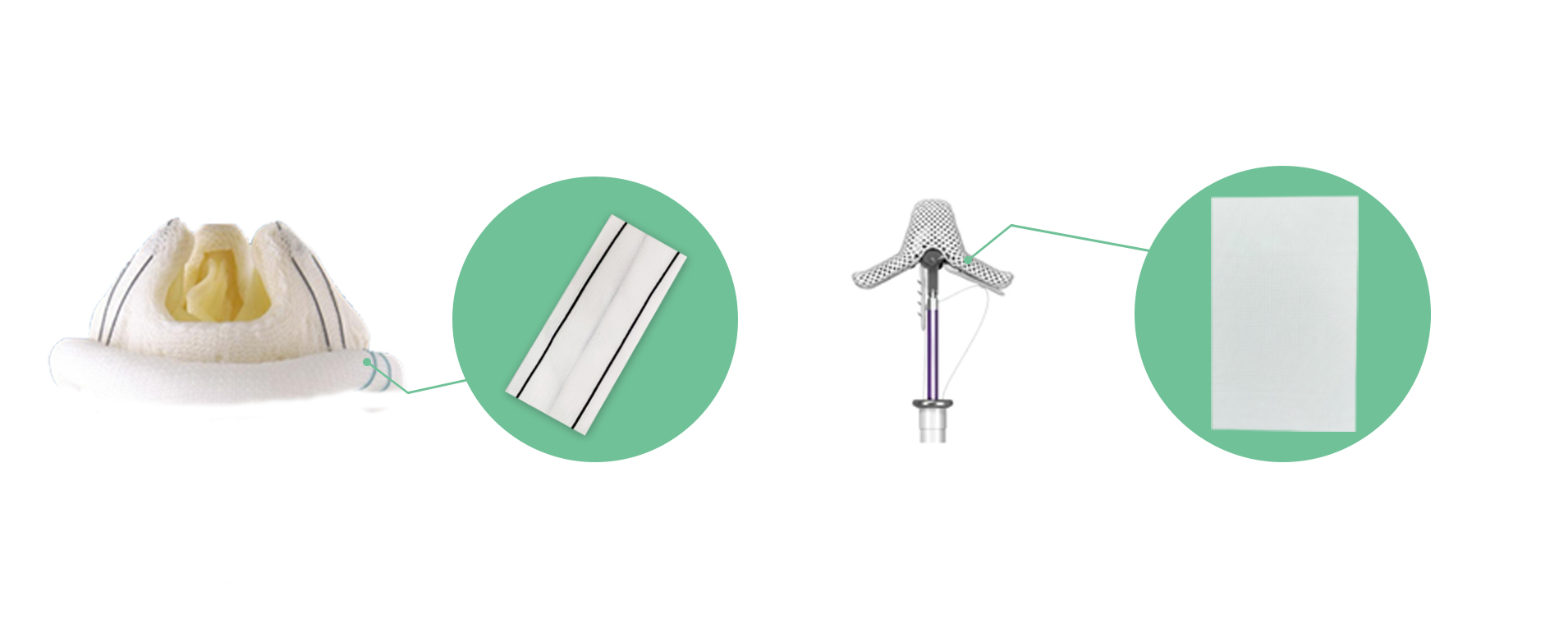 1762495998347036.jpg 官网心脏瓣膜.jpg